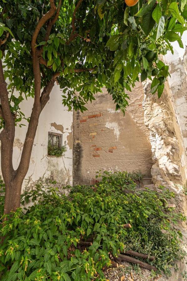 La Casa De Los Arcos - Casco Historico - Parking Opcional Jerez de la Frontera Luaran gambar